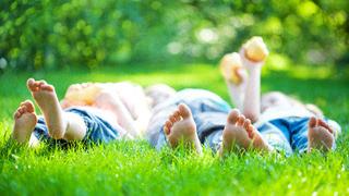 ecologisch Paddle CMS 