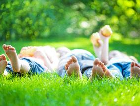 ecologisch Paddle CMS 